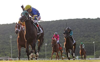 Wow Whata Summer looks to double in Kent