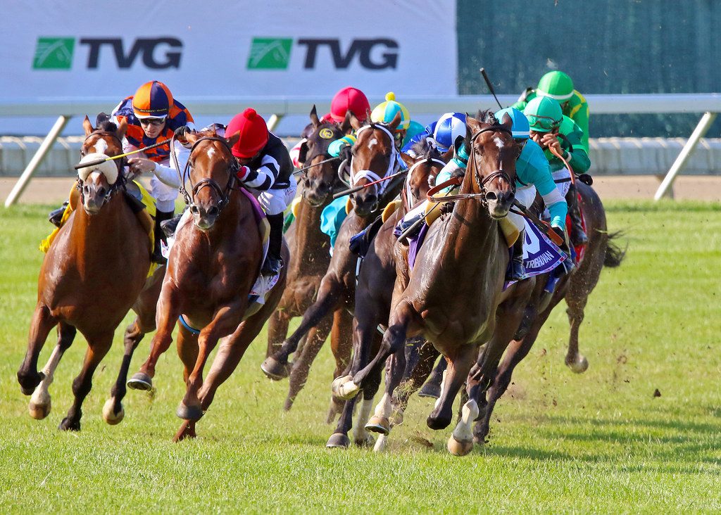 The field turns for home in the 2021 United Nations with Tribhuvan showing the way. Photo Mark Wyville/EQUI-PHOTO United Nations