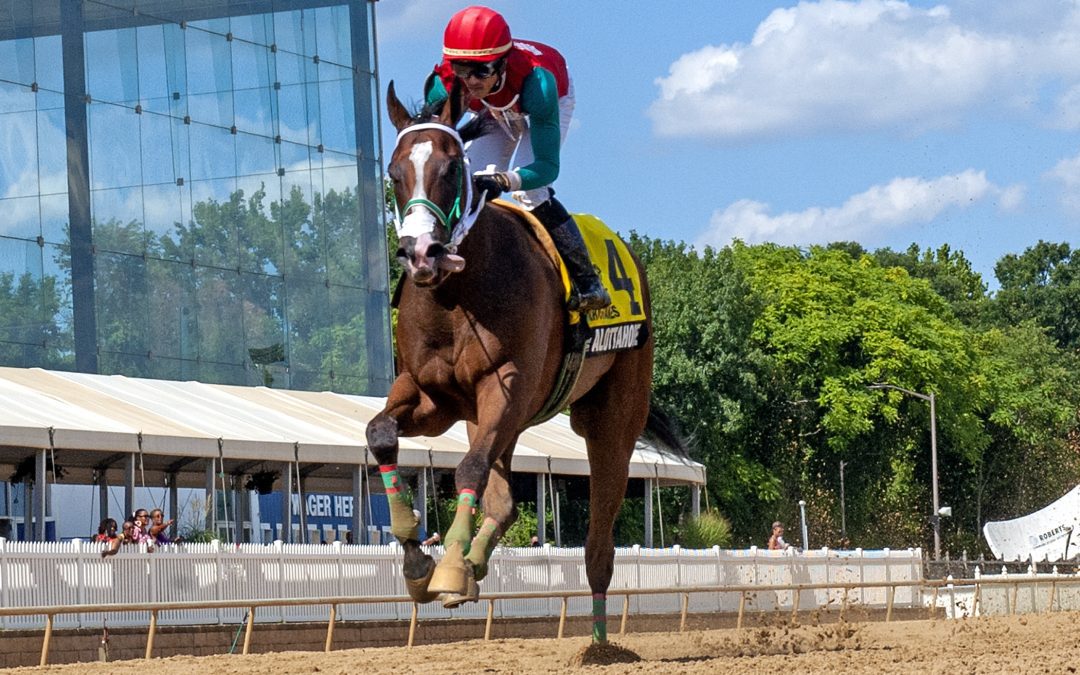 Fille d’Esprit, Alottahope give Robb strong CT hand