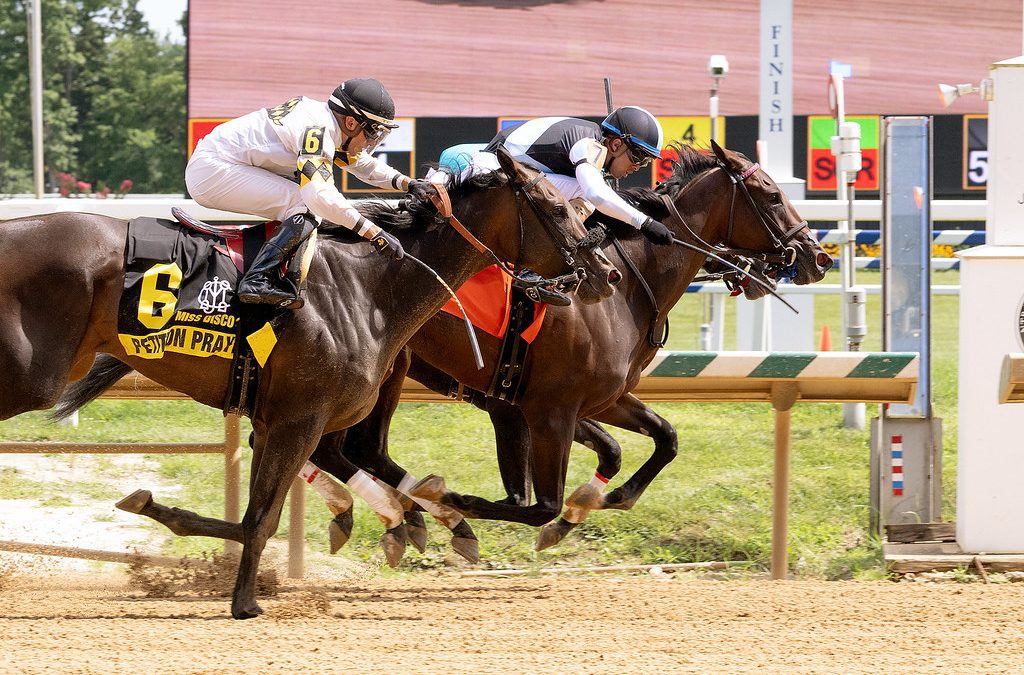 Md. Racing Commission OKs Maryland-Virginia stakes