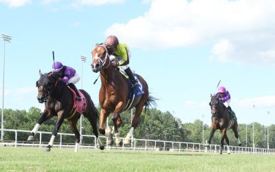 Colonial Downs: Latest jockey and trainer stats