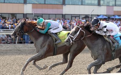 In Battery Park, Magic Michael may be under the radar