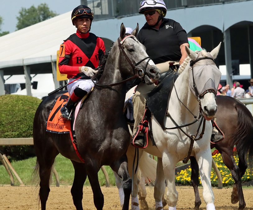 Contentious group set for 1 1/2-mile Colonial Cup