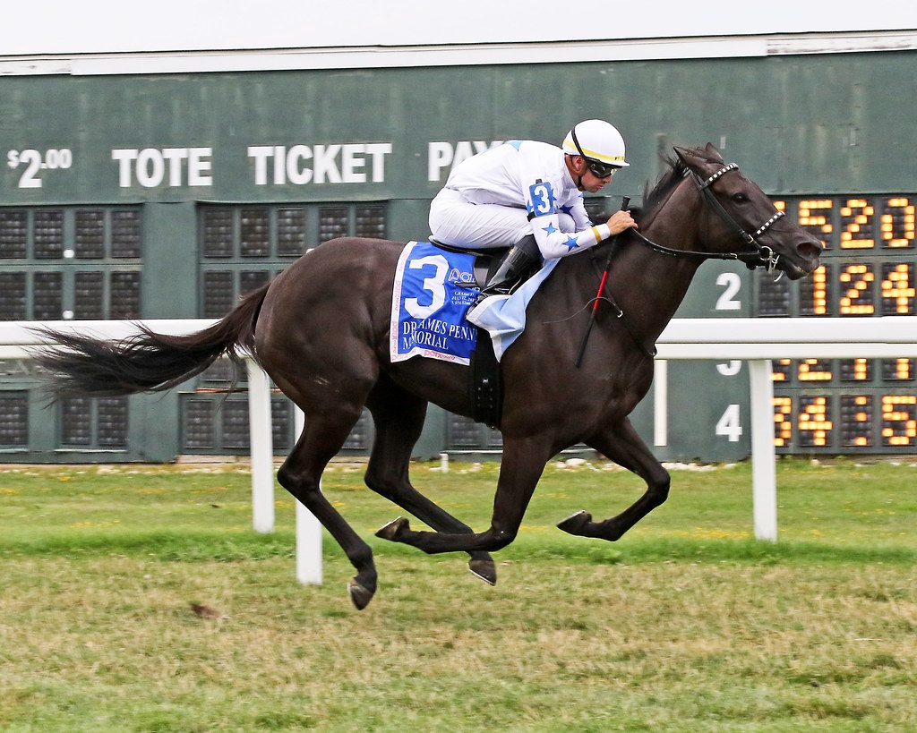 Princess Grace was much the best in defending her title in the G3 Dr. James Penny Memorial. Photo by Barbara Weidl/EQUI-PHOTO. Princess Grace