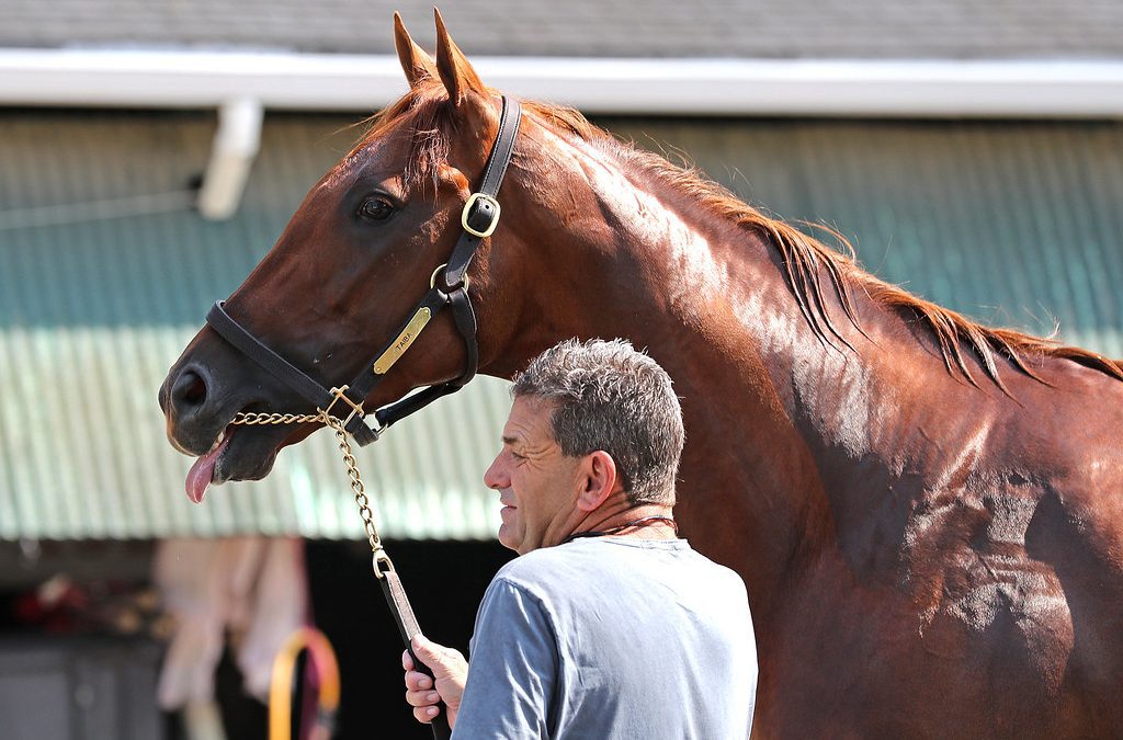 Haskell: Taiba, Jack Christopher square off