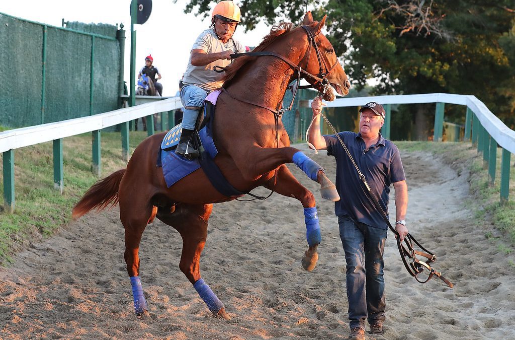 Haskell: Horsemen discuss a “statement race”