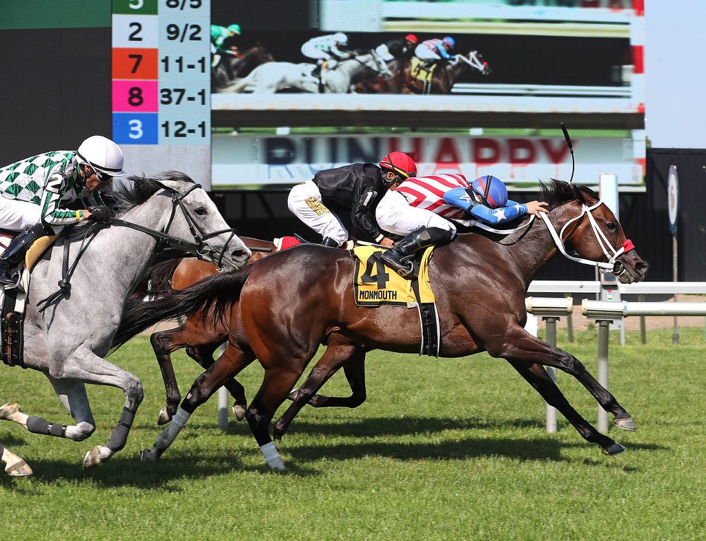 Whimsical Muse, winner of the Miss Liberty Stakes, is 8-1 for the G3 Dick Memorial. Photo By Bill Denver/EQUI-PHOTO  Whimsical Muse