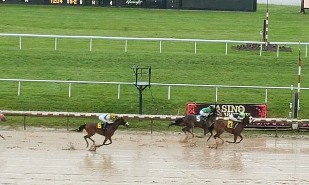 Delaware Park cancels opening day card
