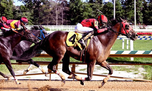 Mid-Atlantic Three Stars: August 15