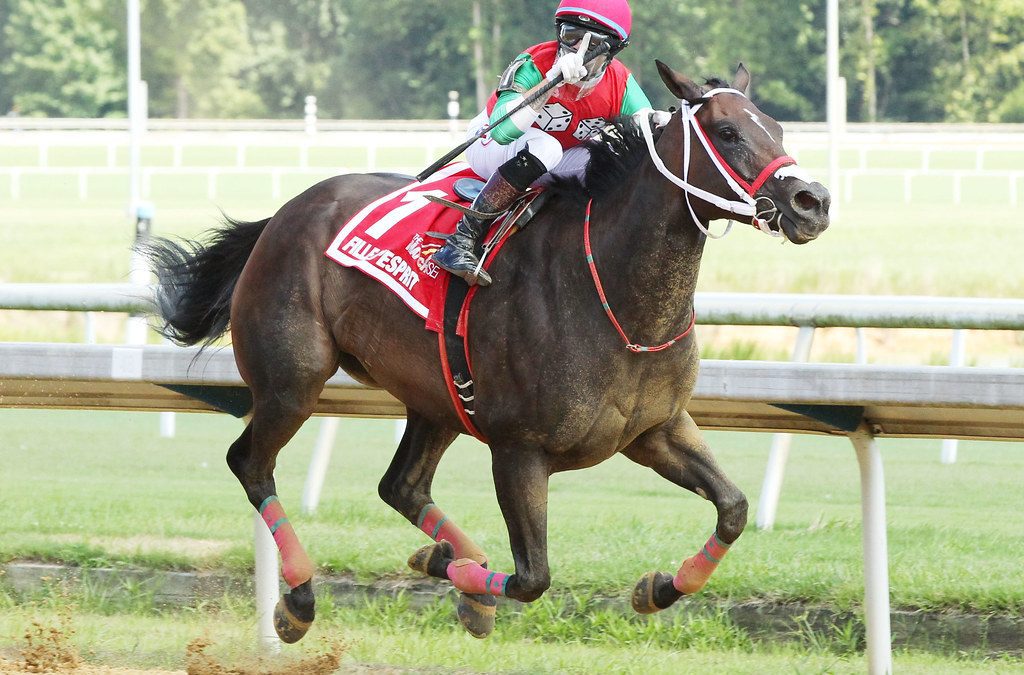 VIDEO: Previewing Laurel Park Christmastide stakes