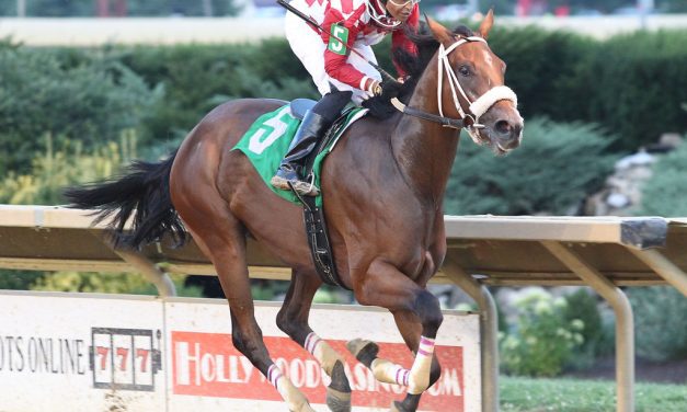 Great Spirit hoping to follow in big bro’s footsteps