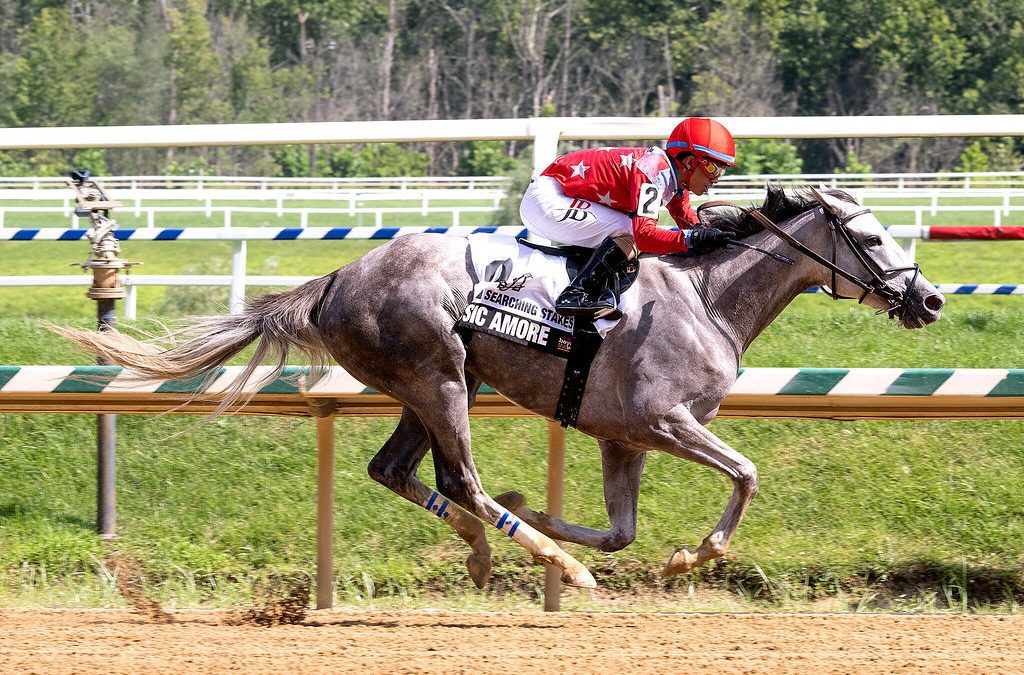 Music Amore plays winning tune in Searching Stakes