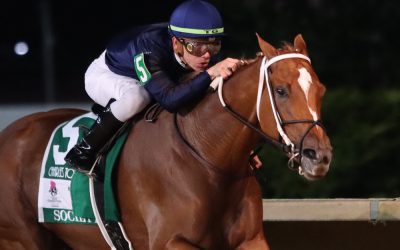 Society is much the best in G3 Charles Town Oaks