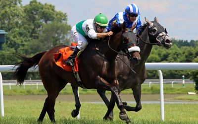 Miss Riddler hopes to solve Christiana Stakes