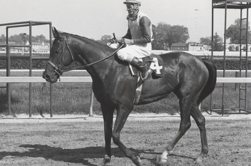 BackTracks: Big tough Twixt