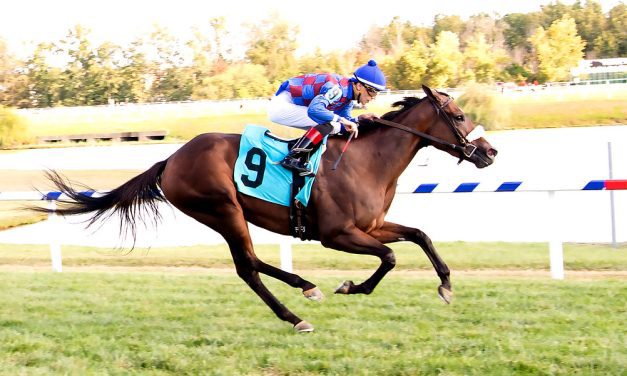 Robin Sparkles looks to shine in Sensible Lady