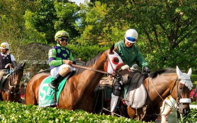 First State to Howgreatisnate