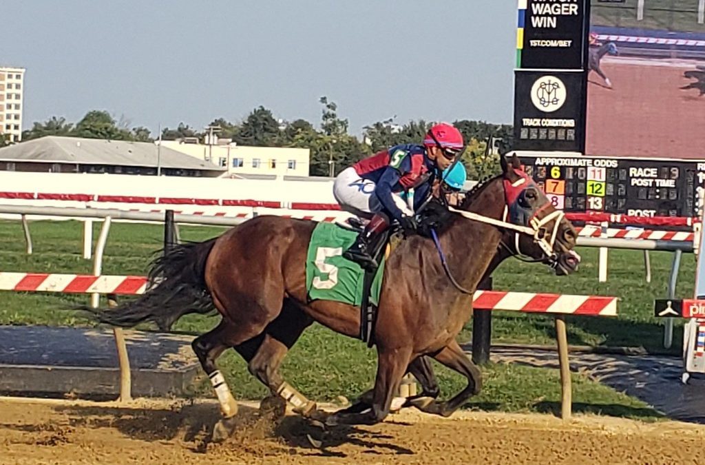 Pimlico: Alwaysinahurry upsets Wondrwherecraigis