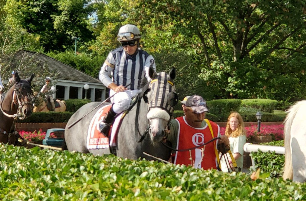 Bound by Destiny stays perfect in Small Wonder