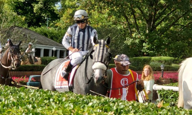 Bound by Destiny stays perfect in Small Wonder