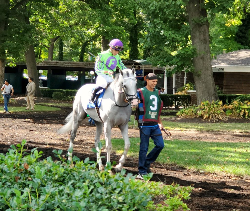 Next prior to his easy win in the Cape Henlopen Stakes. Photo by Mike Valiante. Next