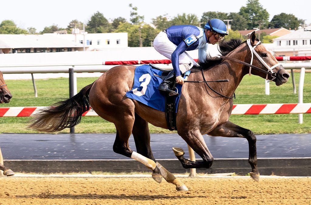 Roan Burgundy may be among new turfers in Laurel Futurity