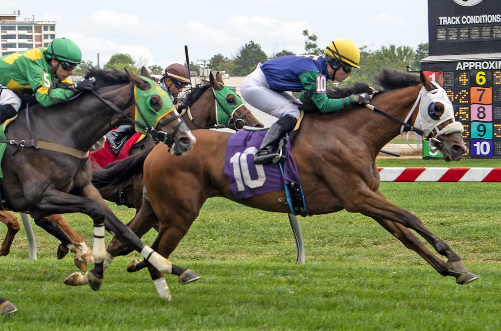 West Newton, bred by The Queen, wins at Pimlico