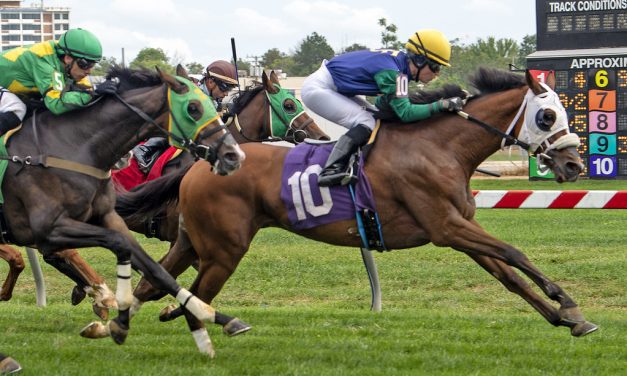 West Newton, bred by The Queen, wins at Pimlico