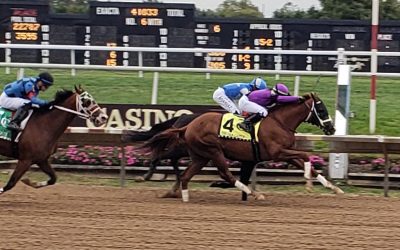 Delaware Park to race 85 days in ’23