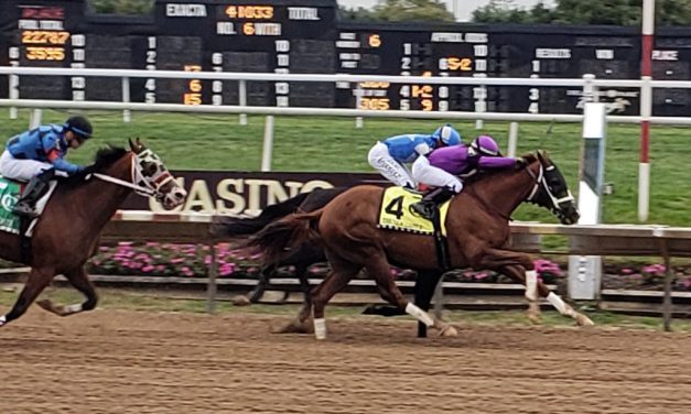 Whereshetoldmetogo prevails in New Castle