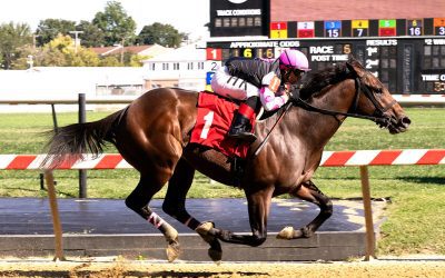 Majority interest in Mo Money Mo Honey sold