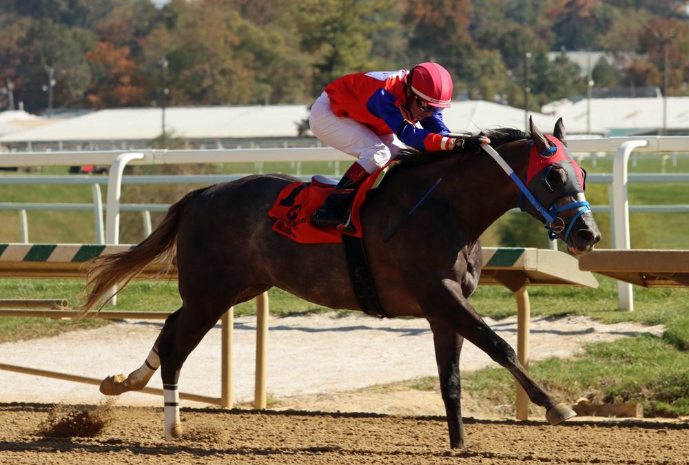 For trainer Phil Capuano, Maryland Million legacies and looking ahead