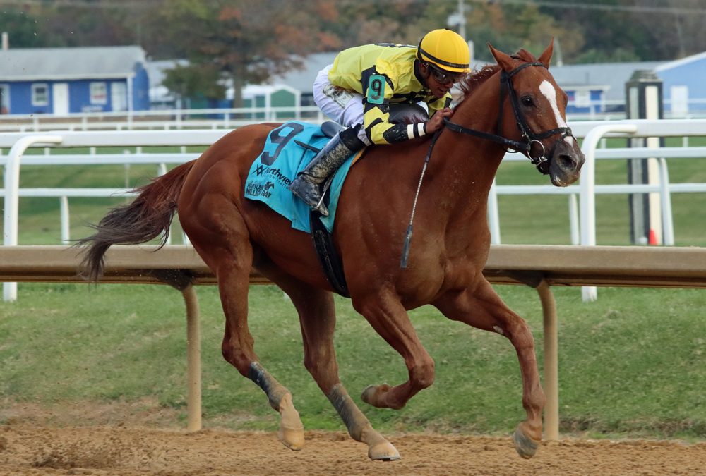 Laurel: Rugged field set for Friday allowance