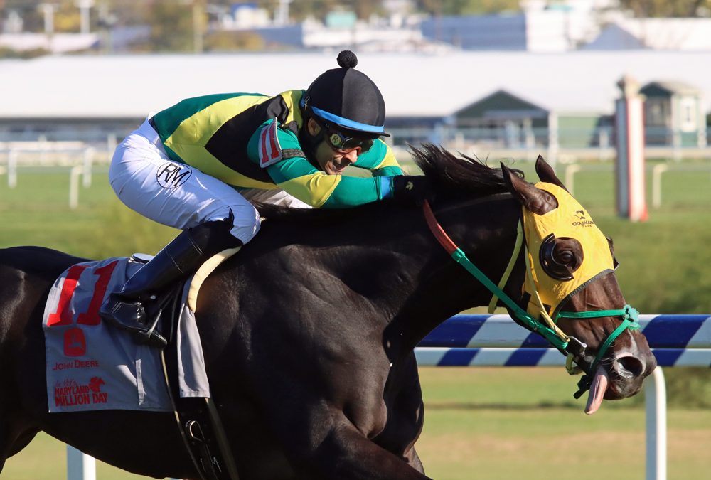 Wicked Prankster looks to regain form in Find