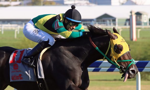 Wicked Prankster looks to regain form in Find