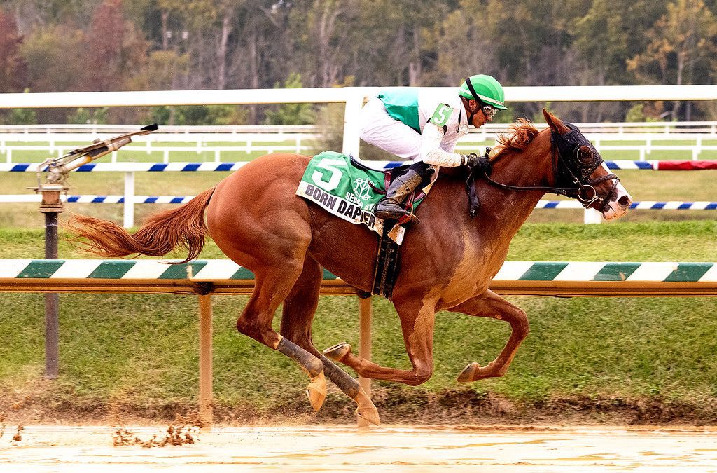 Born Dapper scores in off-the-turf Selima