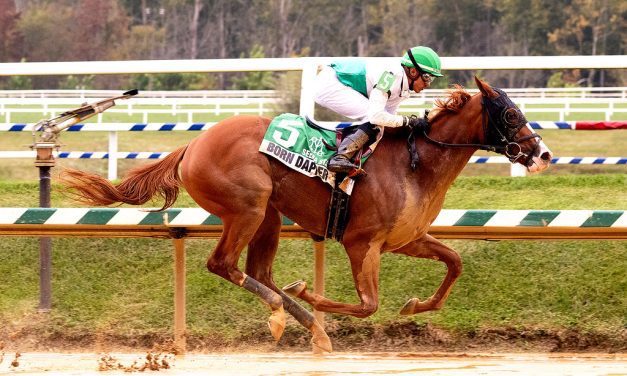 Born Dapper scores in off-the-turf Selima