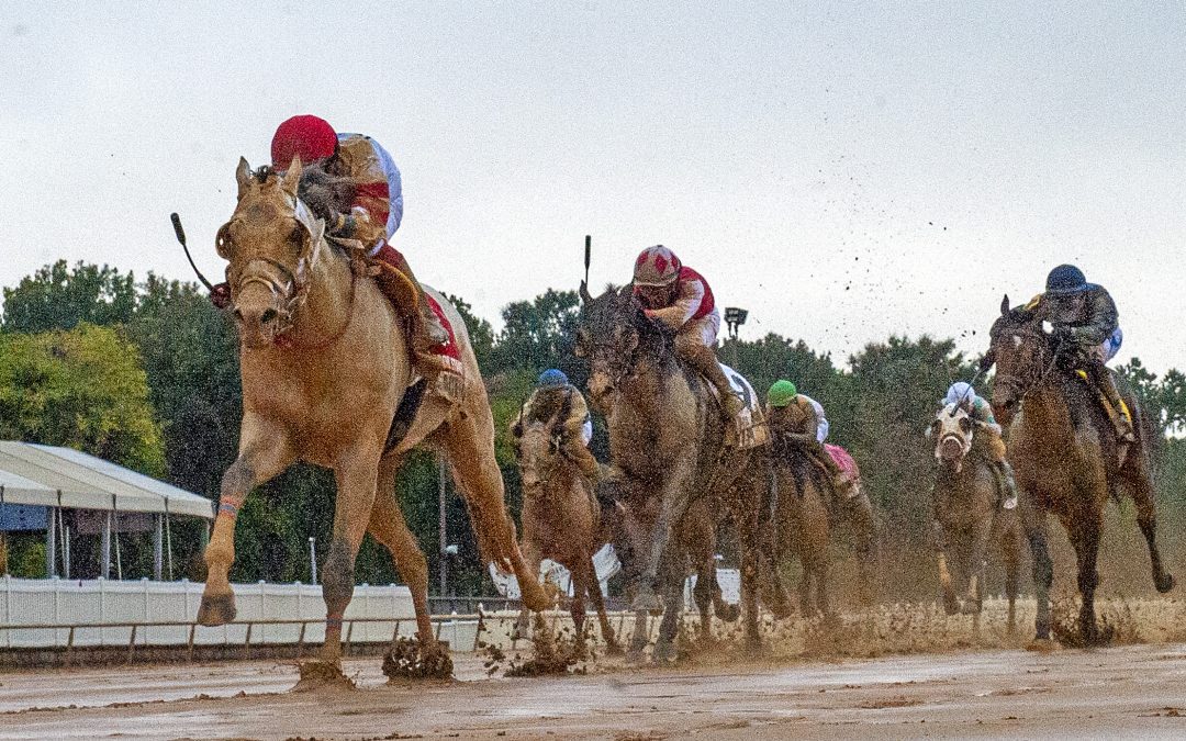 Laurel Park announces summer stakes schedule