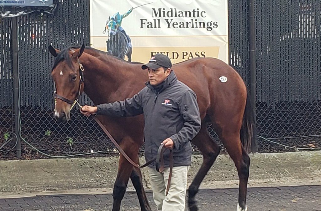 Maryland-breds, sires prominent in Fasig-Tipton yearling sale