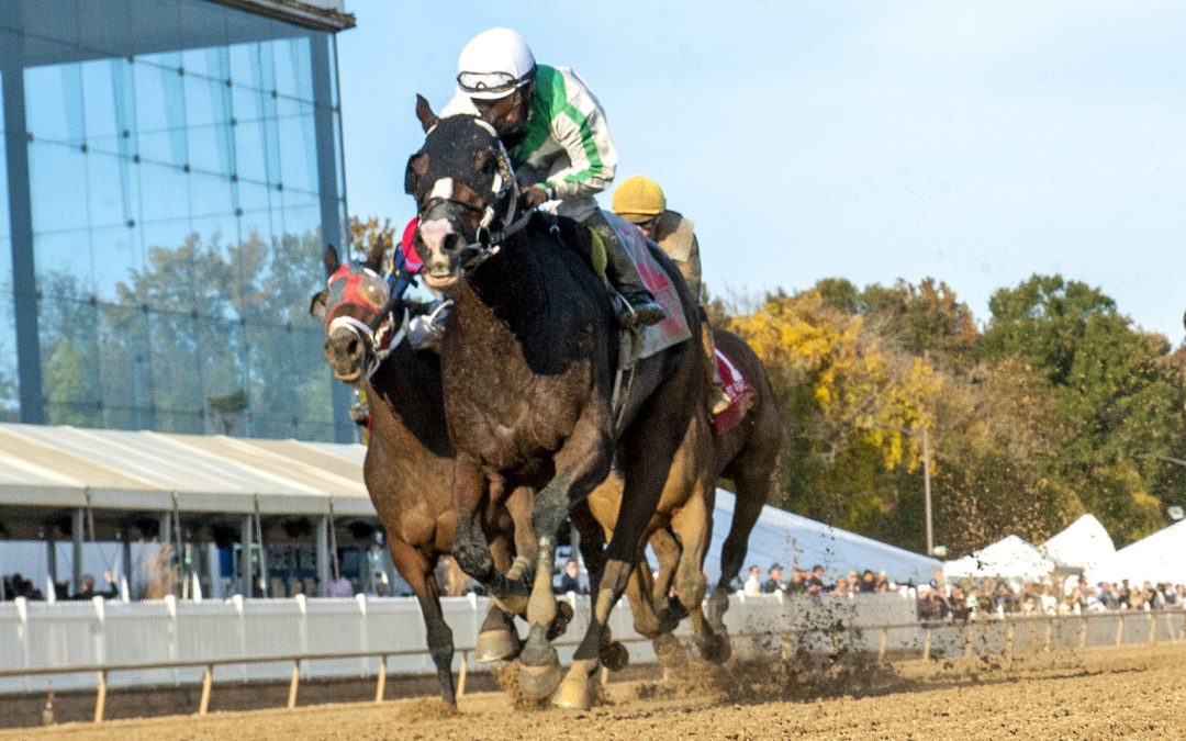 Md Million: Fortheluvofbourbon, Fille d’Esprit deliver
