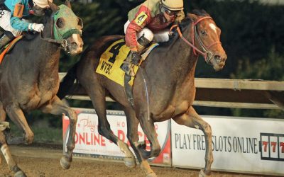 Kristy Petty readies for “different” WVBC