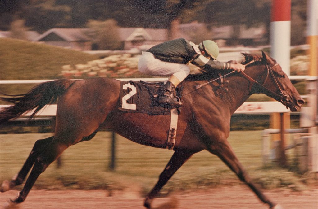 BackTracks: Jameela, Maryland’s first millionaire