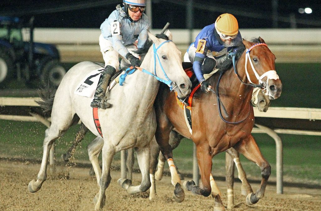 CT: Division lead on line in Eleanor Casey Memorial