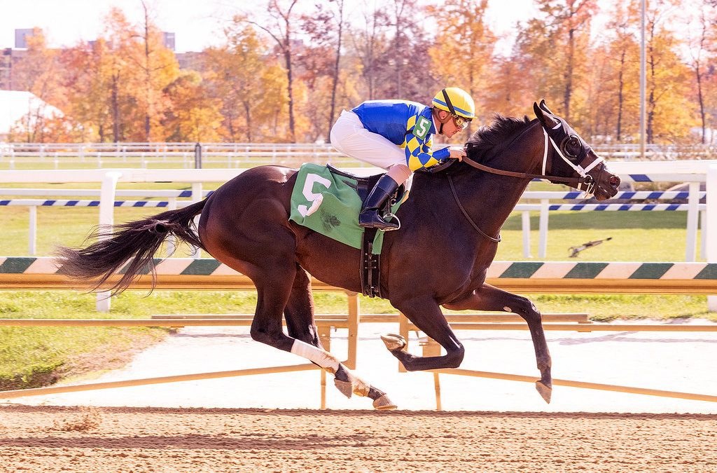 Laurel: Mauritius sails to maiden score