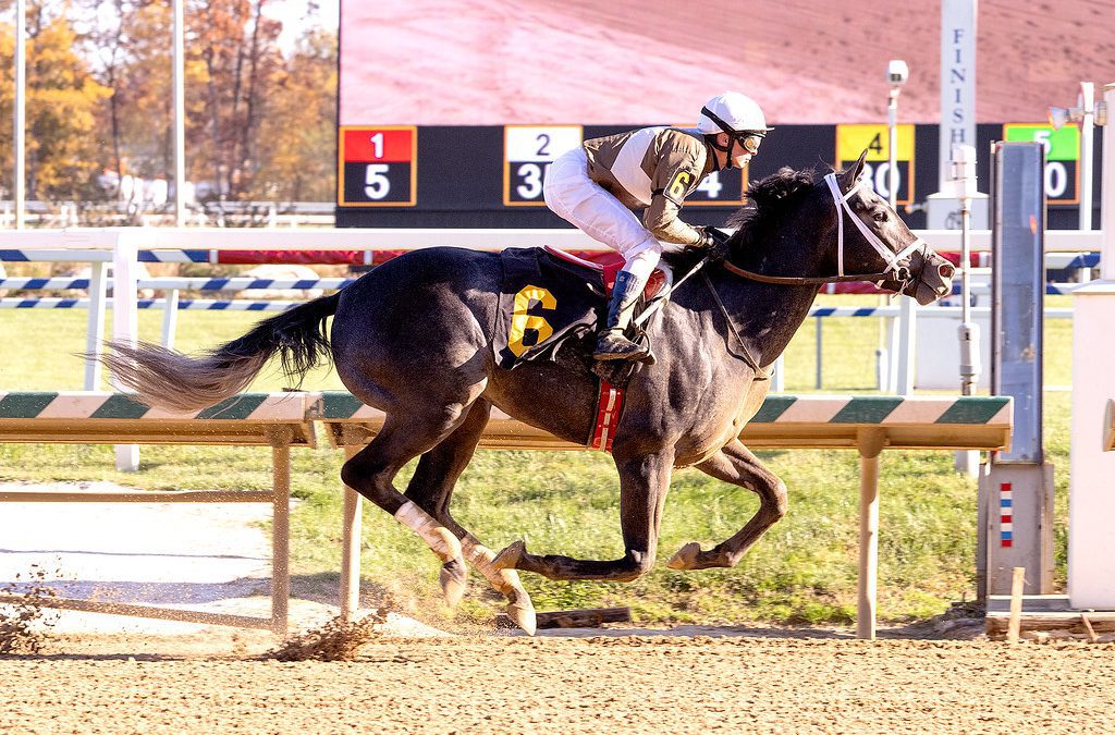 Stakes company likely next for Post Time