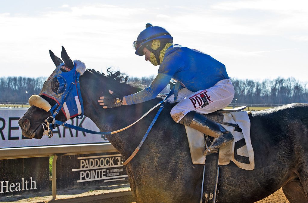 Jockey Yomar Ortiz escapes serious injury in fall