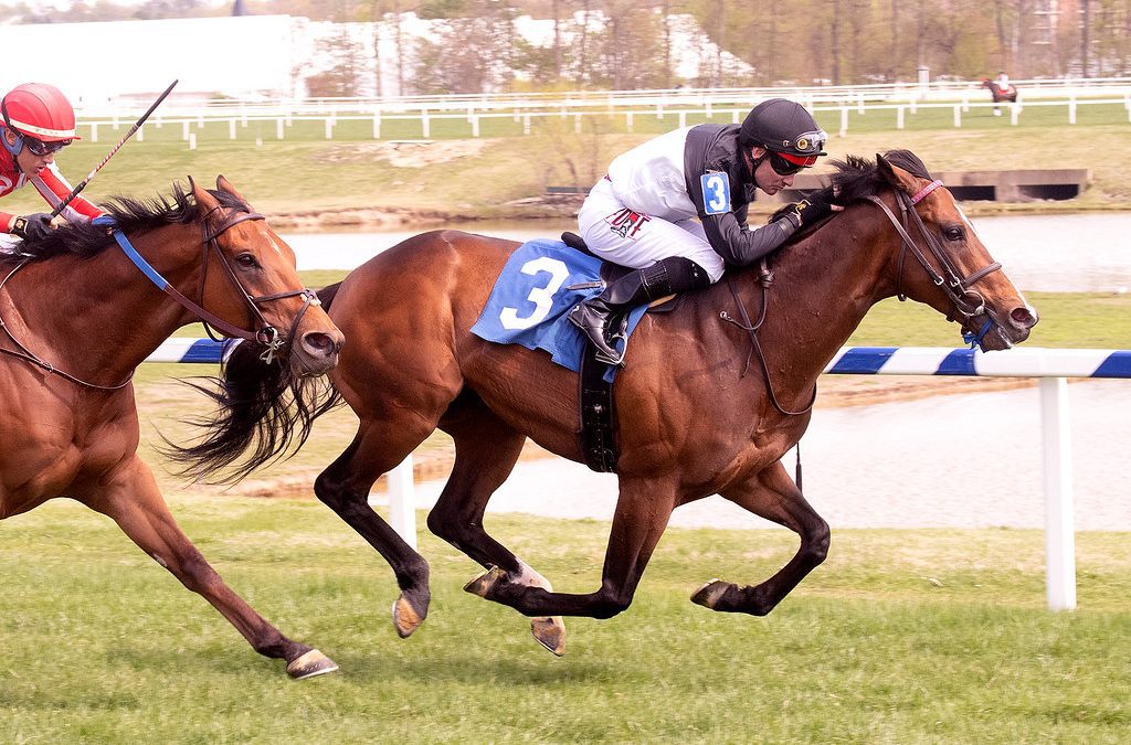 Stallion True Valour moves to Virginia