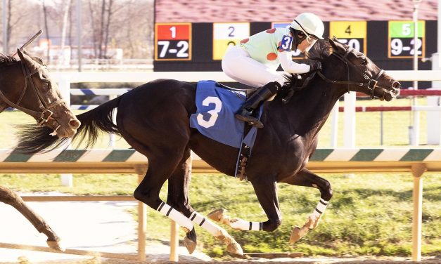 Angel Art makes pretty picture in debut