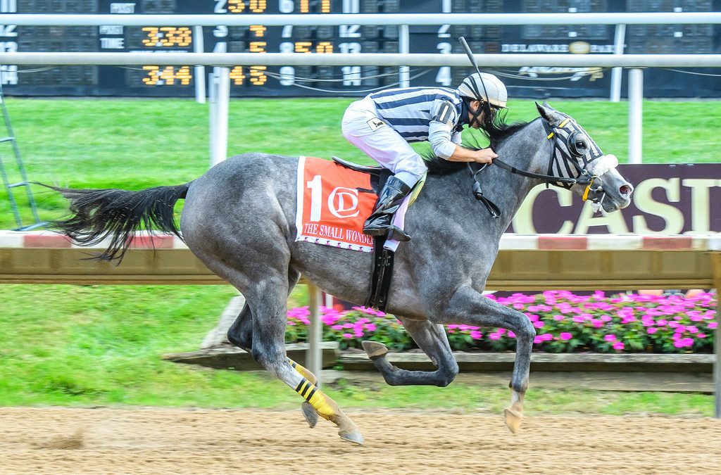 What to look for in today’s Mid-Atlantic stakes