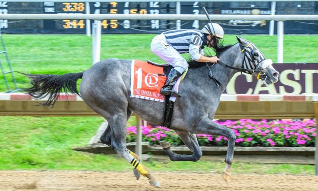 Two-year-old Bound by Destiny “knows how to win”